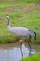 2025-12-11PENSDECB00071A
