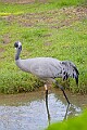 2025-12-11PENSDECB00072A