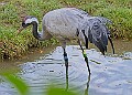 2025-12-11PENSDECB00083A