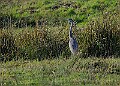 2025-12-11PENSDECB00117A