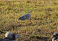 2025-12-11PENSDECB00126A