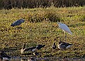 2025-12-11PENSDECB00130A