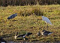 2025-12-11PENSDECB00131A
