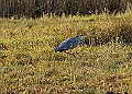 2025-12-11PENSDECB00133A