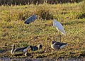 2025-12-11PENSDECB00136A
