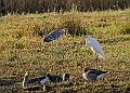 2025-12-11PENSDECB00137A