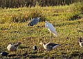 2025-12-11PENSDECB00141A