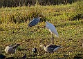 2025-12-11PENSDECB00142A