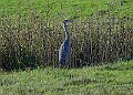 2025-12-11PENSDECB00146A