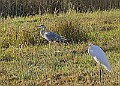 2025-12-11PENSDECB00149A