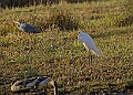 2025-12-11PENSDECB00151A