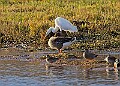 2025-12-11PENSDECB00153A