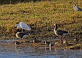 2025-12-11PENSDECB00155A