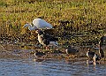 2025-12-11PENSDECB00157A