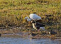 2025-12-11PENSDECB00158A
