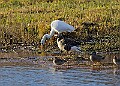 2025-12-11PENSDECB00159A