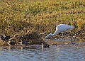2025-12-11PENSDECB00166A