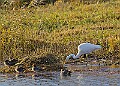 2025-12-11PENSDECB00167A