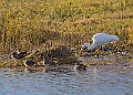 2025-12-11PENSDECB00168A