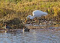 2025-12-11PENSDECB00169A