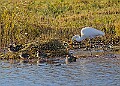 2025-12-11PENSDECB00170A