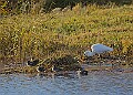 2025-12-11PENSDECB00171A
