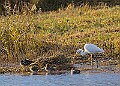 2025-12-11PENSDECB00172A