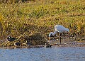2025-12-11PENSDECB00174A