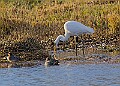 2025-12-11PENSDECB00177A