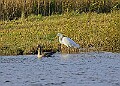2025-12-11PENSDECB00178A