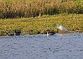 2025-12-11PENSDECB00179A