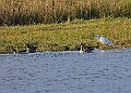 2025-12-11PENSDECB00180A