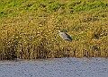 2025-12-11PENSDECB00183A