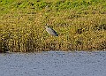 2025-12-11PENSDECB00184A