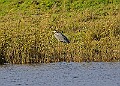 2025-12-11PENSDECB00186A