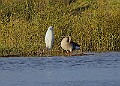 2025-12-11PENSDECB00194A