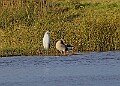 2025-12-11PENSDECB00195A