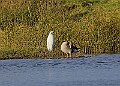 2025-12-11PENSDECB00196A