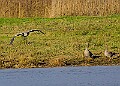 2025-12-11PENSDECB00208A