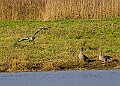 2025-12-11PENSDECB00209A