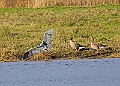 2025-12-11PENSDECB00213A