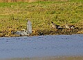 2025-12-11PENSDECB00216A