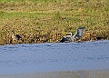 2025-12-11PENSDECB00218A