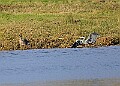 2025-12-11PENSDECB00219A