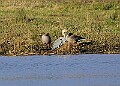 2025-12-11PENSDECB00224A
