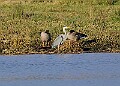 2025-12-11PENSDECB00225A