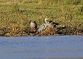 2025-12-11PENSDECB00226A