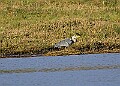 2025-12-11PENSDECB00231A