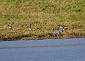 2025-12-11PENSDECB00234A