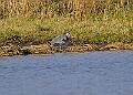 2025-12-11PENSDECB00236A
